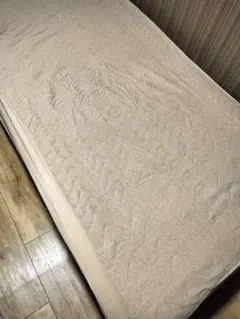 Item thumbnail for item e0b1829d-e61a-42f6-9dee-2141e4715dc4