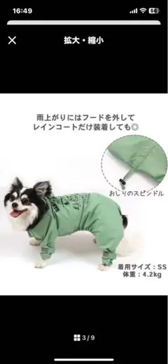 2025年最新】3sペットパラダイスの人気アイテム - メルカリ