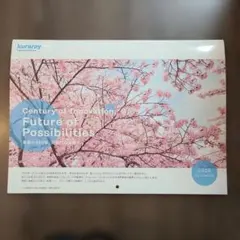 Item thumbnail for item 8a33a6ee-5b04-48e9-93fa-211933409cbc