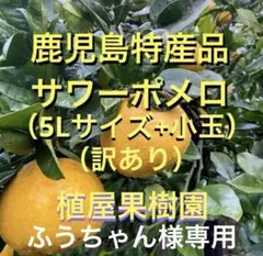 （鹿児島特産品）ふうちゃん様専用 訳あり熟成サワーポメロ 5L+小玉 箱満杯詰