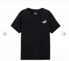 THE NORTH FACE ノースフェイス　tシャツ