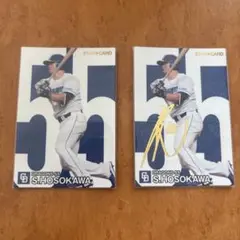 たかはー様 リクエスト 2点 まとめ商品