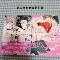 BL　２冊セット257