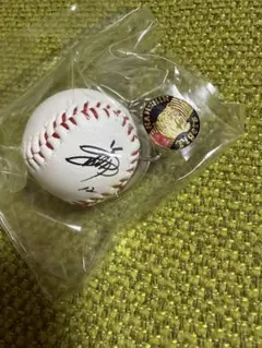 阪神タイガース ガチャガチャ ミニサインボールキーホルダー 大竹
