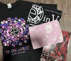 歌い手　ピコ　ライブグッズ　まとめ売り 2026年最新】ピコ 歌い手の人気アイテム - メルカリ