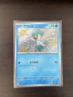 2024 ポケモンカード クワッス #215 GEM MT psa10