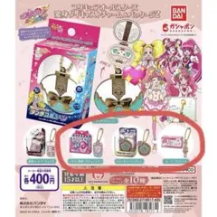 プリキュアオールスターズ変身ダイキャストチャーム＆パッケージ2