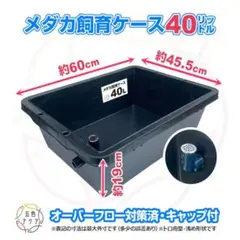 メダカ飼育ケース ビオトープ 黒 オーバーフロー 40ℓ 値下げ×のサムネイル