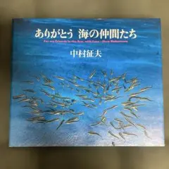 Item thumbnail for item 8d2fa9da-b871-4ab4-8711-3b678ae39b42