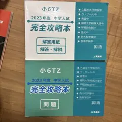 2026年最新】ラサール 完全攻略本の人気アイテム - メルカリ