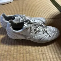 Mizuno モナルシーダneo