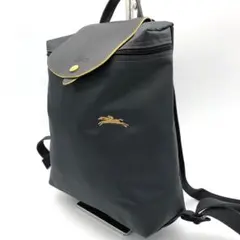 【美品✨】LONGCHAMP ロンシャン ル プリアージュ バックパック グレー