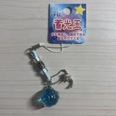 蓄光玉 イルカ付 ブルー 青 キーホルダー