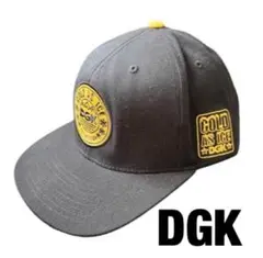 DGK Cold As Ice スナップバック キャップ 美品