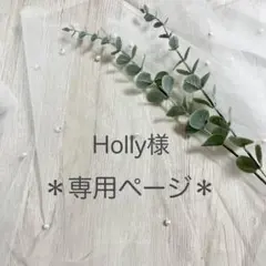ꕥHolly様専用ꕥ