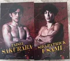 Item thumbnail for item 6ca6ebf2-d457-4de9-85eb-792e4b285699