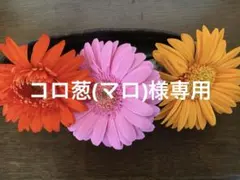 専用のサムネイル