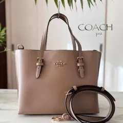 Item thumbnail for item 31d29548-742f-4bc6-808a-7b8ea0b789f7