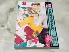 きみがいなけりゃ息もできない 円陣闇丸 ビーボーイコミックス