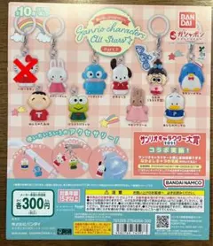 サンリオキャラクターズ　めじるしアクセサリー　9種セット