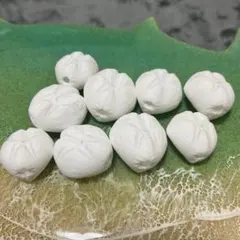 ブンブクセット♡ウニ殻♡標本 ウルトラブンブクの一種♡ウニ殻♡標本 - メルカリ