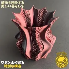 新作】雷鳴〜紫金〜 4号直径12㎝ 3dプリンター鉢 作家鉢 アガベ