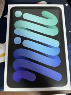 iPad mini A17Pro 第7世代 ＋α