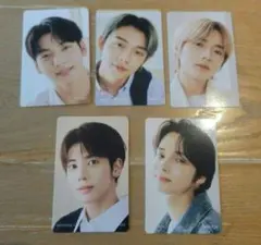 マニョ 魔女工場　TXT トレカ　セット