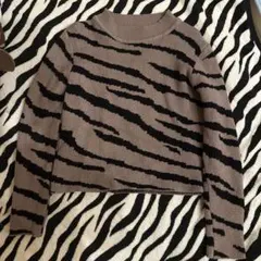 ゼブラ柄 ニット