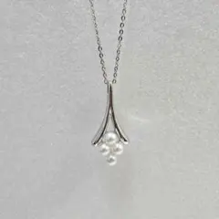 Item thumbnail for item 6806a4d0-baf6-400b-a34a-45cac478df40