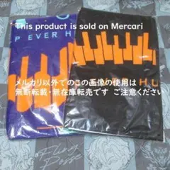 Item thumbnail for item 3a66a876-8aa0-4564-9316-167285532e1a