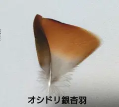 Item thumbnail for item 7b523b09-be60-44b1-a74f-cb2b2662e88f