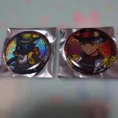 ツイステ プレイフルランド 缶バッジ