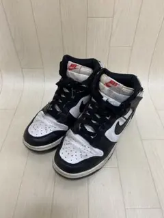 NIKE ナイキ WMNS DUNK HIGH ウィメンズ ダンクハイ 25cm