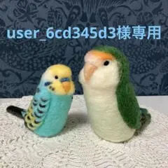 リクエストNO.2569☆コザクラ&セキセイインコセット