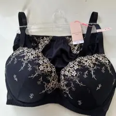 新品トリンプAMOSTYLE ブラショーツ