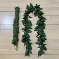 マイレレイ&マイレヘッド