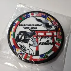 2025年最新】pacaf f-16の人気アイテム - メルカリ