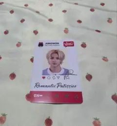 ⚠️QR未使用品 説明欄必読⚠️ ENHYPEN WORLD ジョンウォン