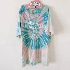 【 Hanes 】 ヘインズ メンズ Tシャツ M カラフル