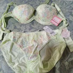 Triumph 夢みるブラ と　ショーツ　M セット