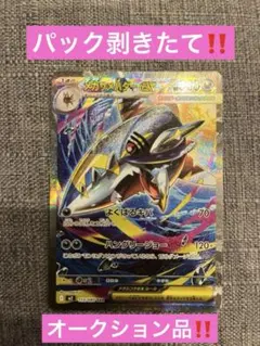 メガサメハダーex SAR‼️パック剥きたて‼️本日限定出品‼️