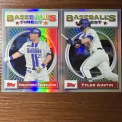 Item thumbnail for item aa5d3ad1-06cb-449c-86ea-324507c3b724