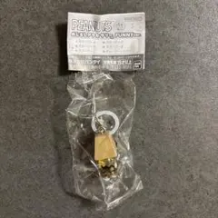 スヌーピー めじるしアクセサリー FUNNY ver チャーリーブラウン