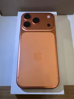7月4日まで】Apple iPhone 17 Pro Max 1TB CA属 - メルカリ
