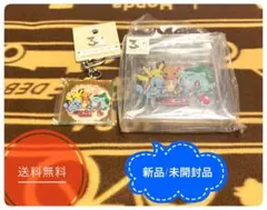 新品 未開封 ポケモン カントー アクリルブロック キーホルダー