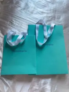 Tiffany & Co. ショップ袋 2点セット