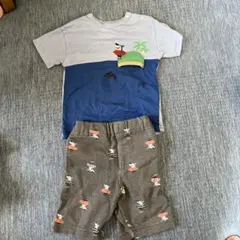 サメ柄 サーフボード Tシャツ ハーフパンツ セット