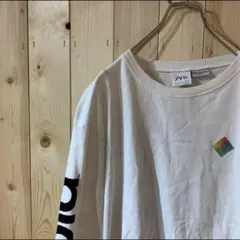 AE1739 ZARA ザラ 長袖Ｔシャツ ホワイト レディース Ｌ ポス
