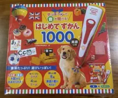 【新品未開封】はじめてずかん1000 日本語&英語　本体＋タッチペン付き◎
